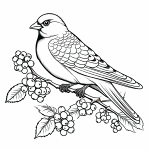 Cardinal and Holly Berry Christmas Coloring Pages 4