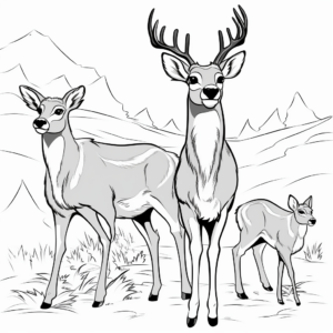 Cartoon Mule Deer Family Coloring Pages for Children 2