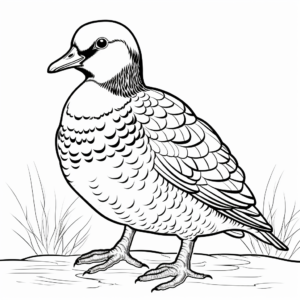 Cartoon Yellow-Bellied Sapsucker Coloring Pages 3