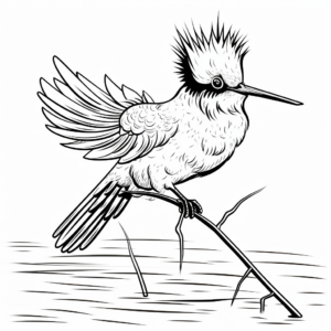 Challenging Wire-Crested Thorntail Coloring Pages 1
