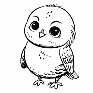 Charming Budgie Bird Coloring Pages 4