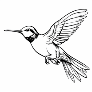 Charming Female Ruby Throated Hummingbird coloring Pages 2