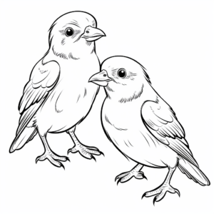 Charming Raven Pair Coloring Pages 3