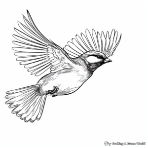 Chickadee in Flight: Action Coloring Pages 1