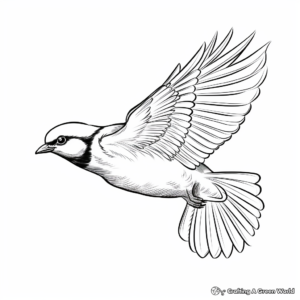 Chickadee in Flight: Action Coloring Pages 3