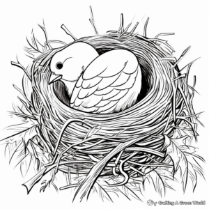 Chickadee Nest Artistic Coloring Pages 4