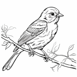 Child-Friendly Oriole Bird Colouring Pages 3