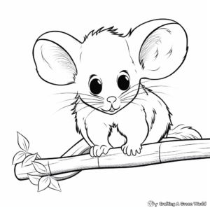Children’s Favorite Australian Pygmy Possum Coloring Pages 1