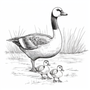 Classic Canada Geese Coloring Pages 1