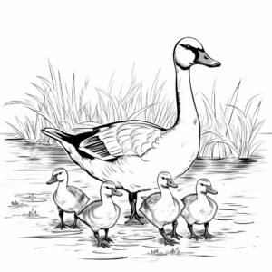 Classic Canada Geese Coloring Pages 2