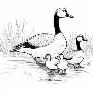 Classic Canada Geese Coloring Pages 4