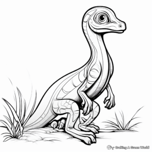 Clear-Line Compysognathus Coloring Pages for Easy Coloring 3