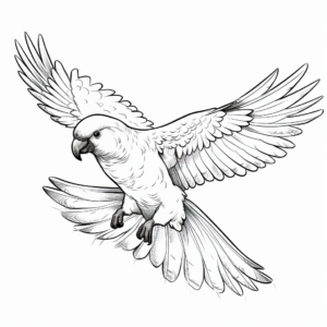 Cockatoo in Flight Coloring Page 1