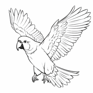 Cockatoo in Flight Coloring Page 3