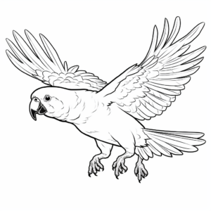 Cockatoo in Flight Coloring Page 4