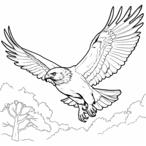 Color the Horizon with Soaring Hawk Coloring Pages 4