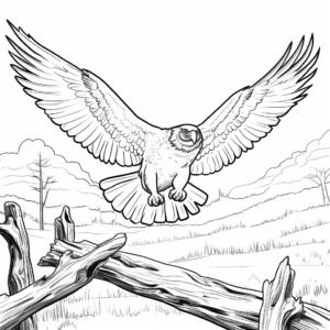 Color the Osprey Hunting Scene Coloring Pages 3
