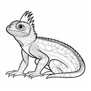 Colorful African Agama Lizard Coloring Pages 4