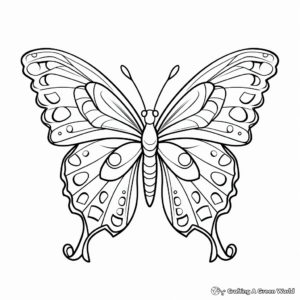 Colorful Butterfly & Insect Coloring Pages 4