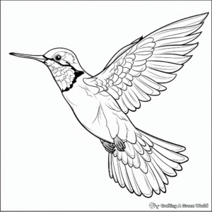 Colorful Costa's Hummingbird Coloring Pages for Adults 2