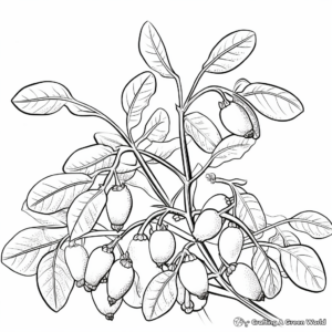 Colorful Field Peas Coloring Pages 2