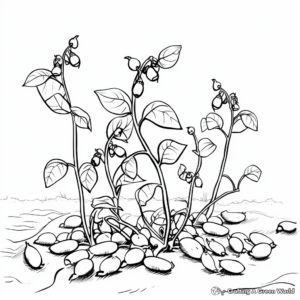 Colorful Field Peas Coloring Pages 4