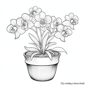 Colorful Orchid Pot Coloring Pages for Adults 1