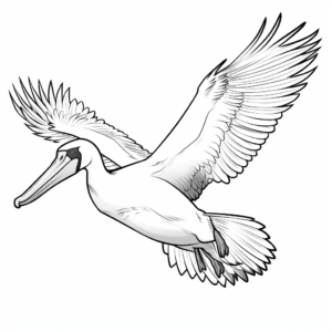 Colorful Pelican in Flight Coloring Pages 3