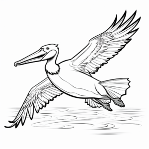 Colorful Pelican in Flight Coloring Pages 4