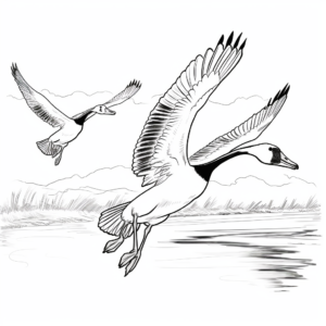 Coloring Pages of Geese Migration 4