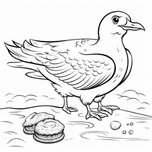 Coloring Pages of Seagull Finding Food 4