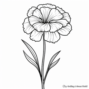 Comprehensive Carnation Flower Coloring Pages 1