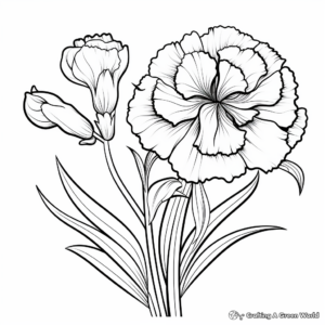 Comprehensive Carnation Flower Coloring Pages 3
