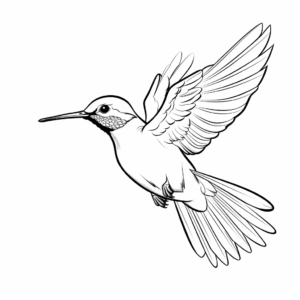 Costa's Hummingbird in Flight Coloring Pages 2