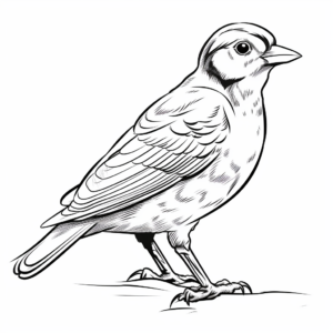 Cute Downy Woodpecker Coloring Sheets for Kids 1