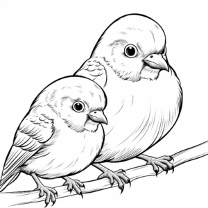 Cute Pigeons Coloring Pages for All Ages 4