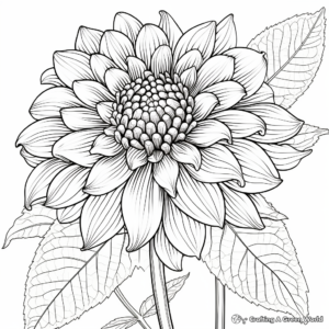 Dahlia Delight: Intricate Dahlia Flower Coloring Pages 3