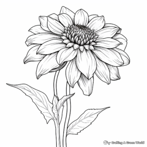 Dahlia Flower Coloring Pages for Children 1