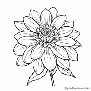 Dahlia Flower Coloring Pages for Children 2
