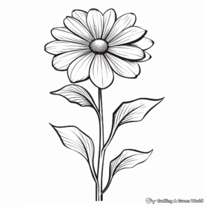 Daisy Blossom Life Cycle Coloring Pages 3