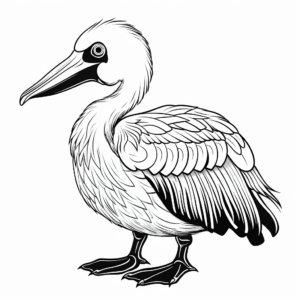 Decorative Australian Pelican Coloring Pages 1