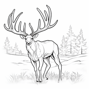 Deer Antler and Scenery Coloring Pages 4