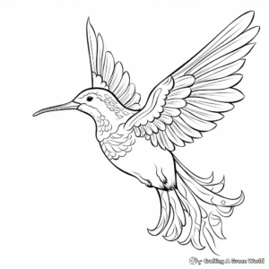 Delicate Anna's Hummingbird Coloring Pages 4