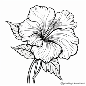 Delicate Hibiscus Flower Coloring Pages 2