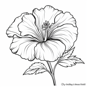 Delicate Hibiscus Flower Coloring Pages 3