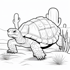 Delightful Desert Tortoise Coloring Pages 1