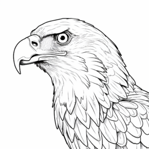 Detailed American Bald Eagle Coloring Page 1