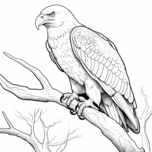 Detailed American Bald Eagle Coloring Page 2