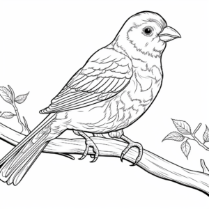 Detailed American Goldfinch Coloring Pages for Grown-ups 3