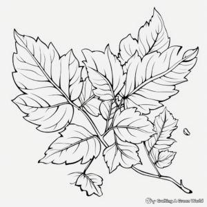 Detailed Ash Leaf Coloring Pages for Adults 1